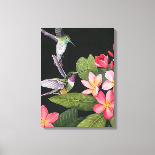 Hummingvogels in de Plumeria Canvas Afdruk (Voorkant)