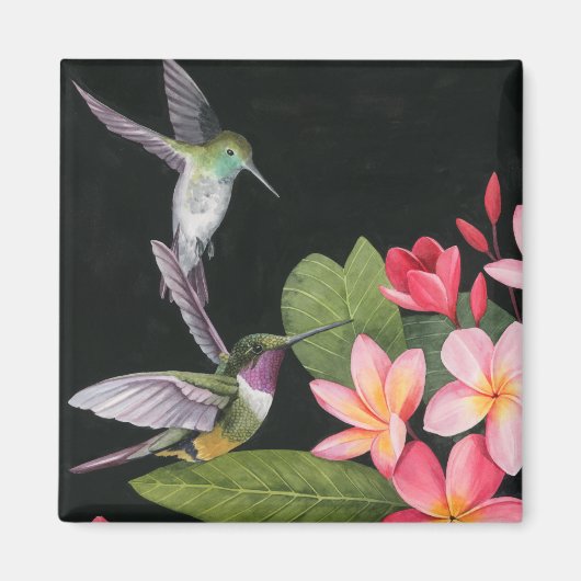 Hummingvogels in de Plumeria Magneet (Voorkant)