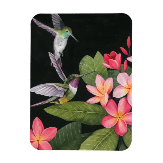 Hummingvogels in de Plumeria Magneet (Verticaal)