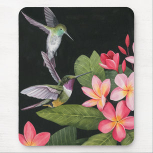 Hummingvogels in de Plumeria Muismat