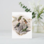 Hummingvogels in de vlucht briefkaart (Staand voorkant)