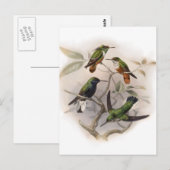 Hummingvogels in de vlucht briefkaart (Voorkant / Achterkant)