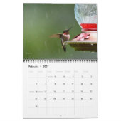 Hummingvogels in Michigan Kalender (Feb 2027)
