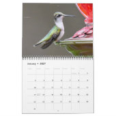 Hummingvogels in Michigan Kalender (Jan 2027)