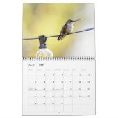 Hummingvogels in Michigan Kalender (Mar 2027)