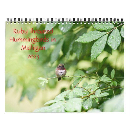 Hummingvogels in Michigan Kalender (Hoes)