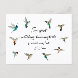 Hummingvogels in Noord-Amerika Briefkaart