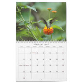 Hummingvogels Jaar van de Ronde Kalender (Feb 2027)