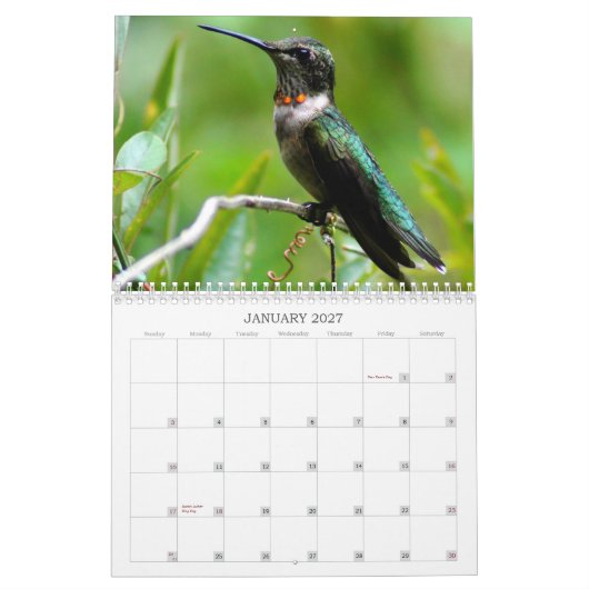 Hummingvogels Jaar van de Ronde Kalender (Jan 2027)
