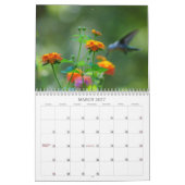 Hummingvogels Jaar van de Ronde Kalender (Mar 2027)