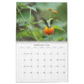 Hummingvogels Jaar van de Ronde Kalender (Feb 2026)