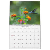 Hummingvogels Jaar van de Ronde Kalender (Mar 2026)