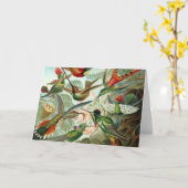 Hummingvogels Kaart (Gele Bloem)