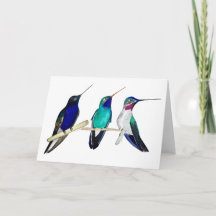 Hummingvogels