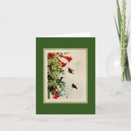 Hummingvogels Kaart (Voorkant)