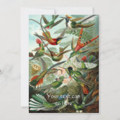 Hummingvogels Kaart (Voorkant)