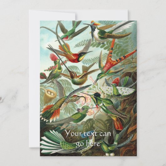 Hummingvogels Kaart (Voorkant)