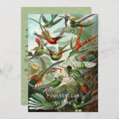  Hummingvogels Kaart (Voorkant / Achterkant)