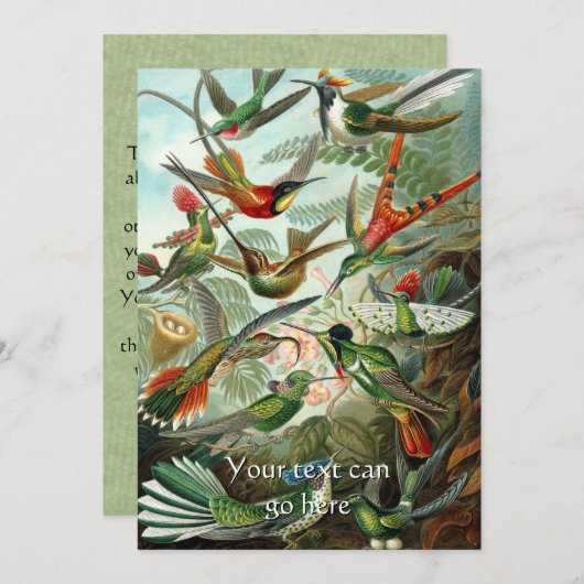 Hummingvogels Kaart (Voorkant / Achterkant)