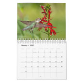 Hummingvogels Kalender (Feb 2027)