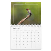 Hummingvogels Kalender (Mar 2027)