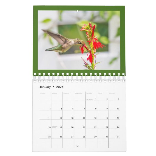 Hummingvogels Kalender (Jan 2026)
