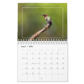 Hummingvogels Kalender (Mar 2026)