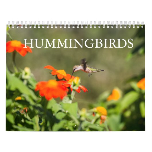 Hummingvogels Kalender (Hoes)