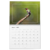 Hummingvogels Kalender (Mar 2027)