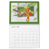 Hummingvogels Kalender (Jan 2027)