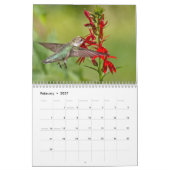 Hummingvogels Kalender (Feb 2027)