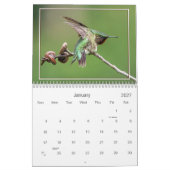Hummingvogels Kalender (Jan 2027)