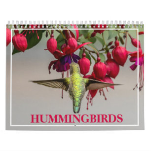 Hummingvogels Kalender