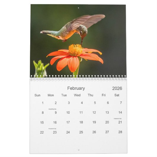 Hummingvogels Kalender (Feb 2026)