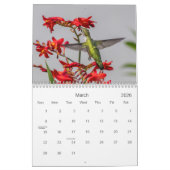 Hummingvogels Kalender (Mar 2026)