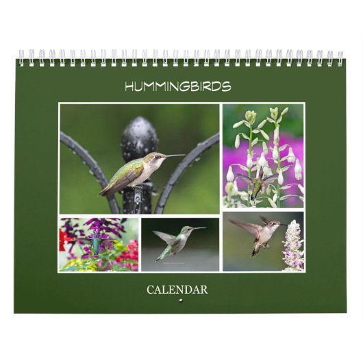 Hummingvogels Kalender (Hoes)