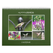 Hummingvogels