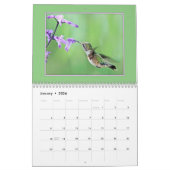 Hummingvogels Kalender (Jan 2026)