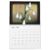 Hummingvogels Kalender (Mar 2027)