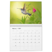 Hummingvogels Kalender (Feb 2027)