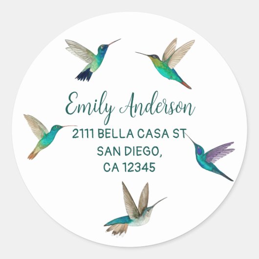 Hummingvogels Klassieke ronde Sticker (Voorkant)