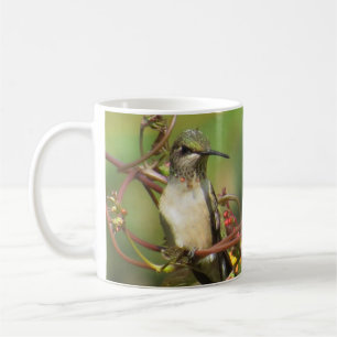 Hummingvogels KoffieMok door BirdingCollectibles