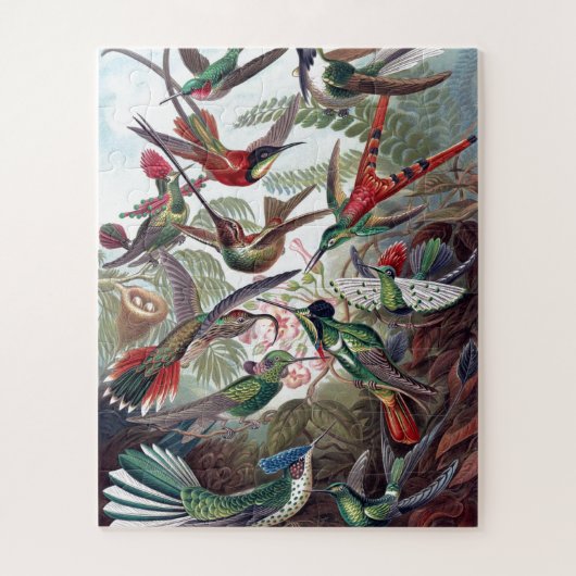  Hummingvogels Kunst ter illustratie van oud boek Legpuzzel (Verticaal)