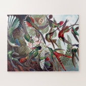  Hummingvogels Kunst ter illustratie van oud boek Legpuzzel (Horizontaal)