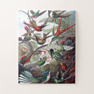 Hummingvogels Kunst ter illustratie van oud boek Legpuzzel