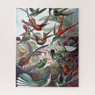  Hummingvogels Kunst ter illustratie van oud boek Legpuzzel