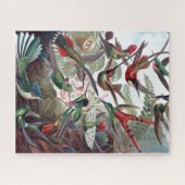  Hummingvogels Kunst ter illustratie van oud boek Legpuzzel (Horizontaal)
