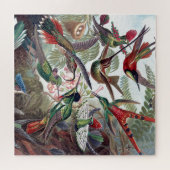 Hummingvogels Kunst ter illustratie van oud boek Legpuzzel (Horizontaal)