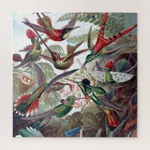 Hummingvogels Kunst ter illustratie van oud boek Legpuzzel