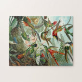 Hummingvogels Legpuzzel (Horizontaal)